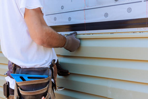 Affordable Siding Repair solutions in Vienna, GA
